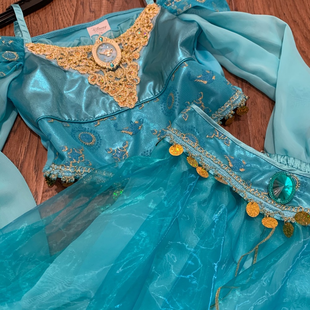 Princess Jasmine Disney Princess Costume